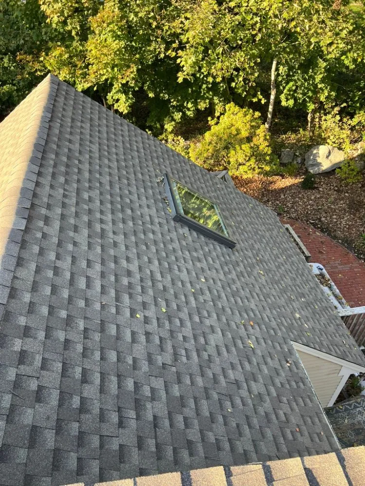 Slide of Fabios Repairs