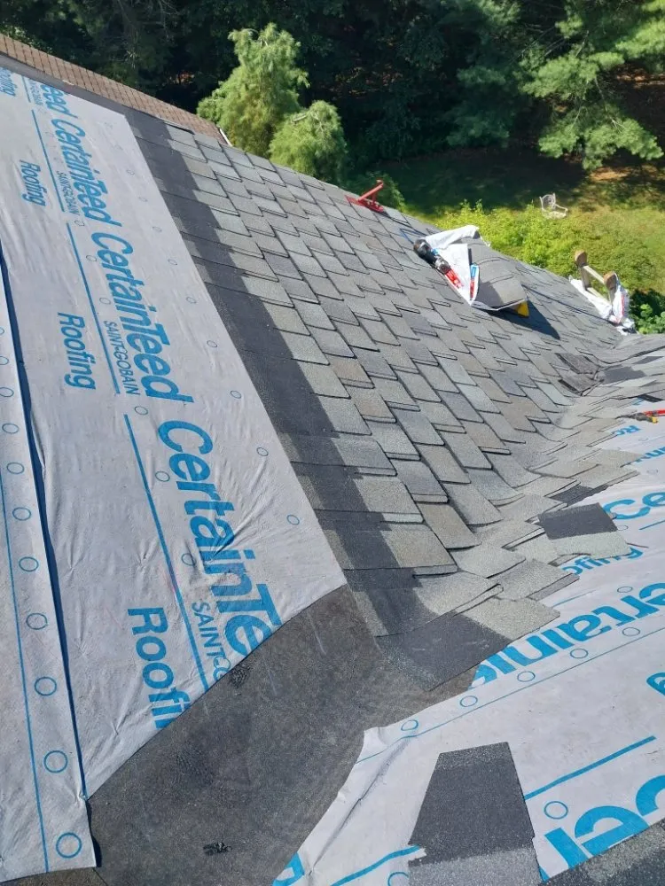 Slide of Fabios Repairs