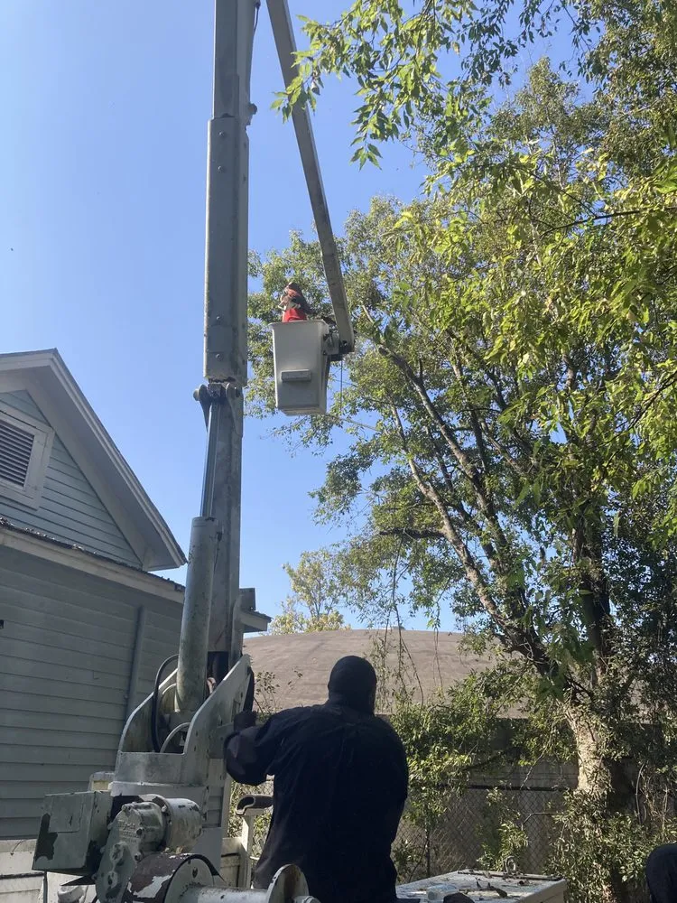 Slide of Fails and Sons Construction