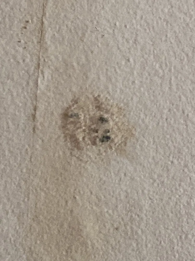 Slide of Fair And Square Roofing