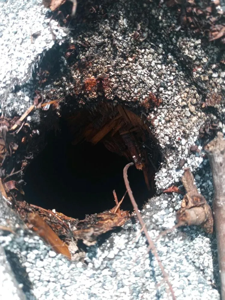 Slide of Fair And Square Roofing