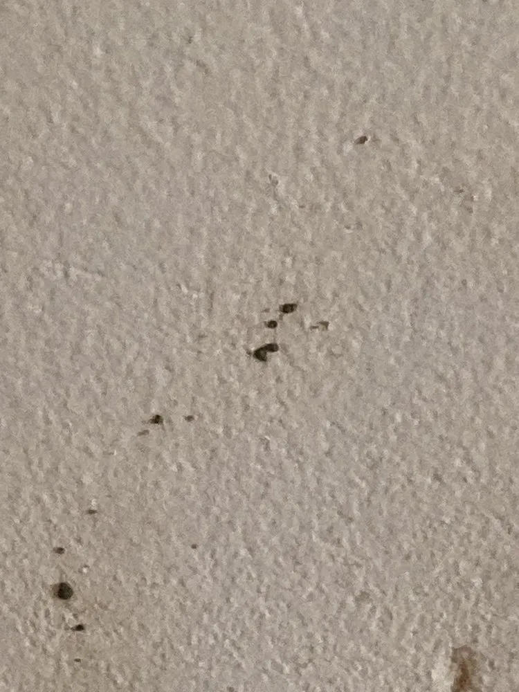 Slide of Fair And Square Roofing