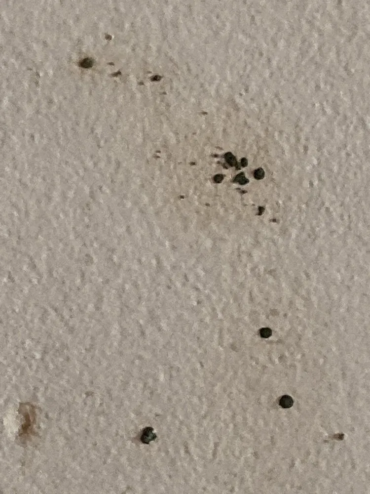 Slide of Fair And Square Roofing