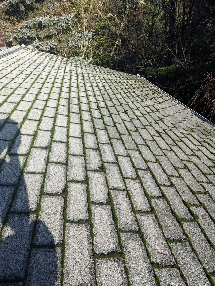 Slide of Faith Home Services