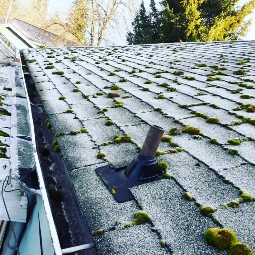 Slide of Faith Home Services