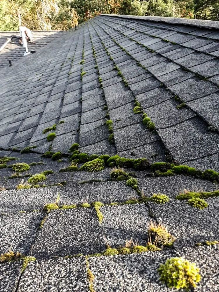 Slide of Faith Home Services