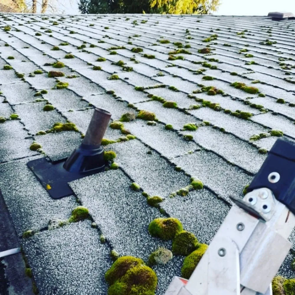 Slide of Faith Home Services