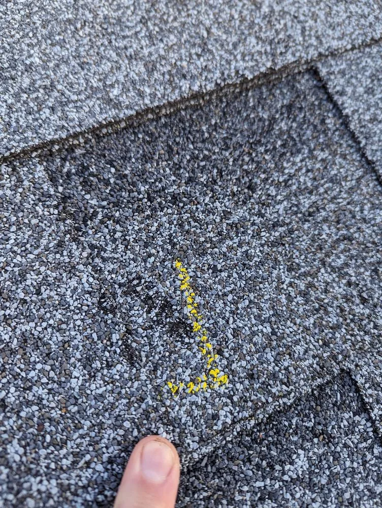 Slide of Falcon Home Improvement