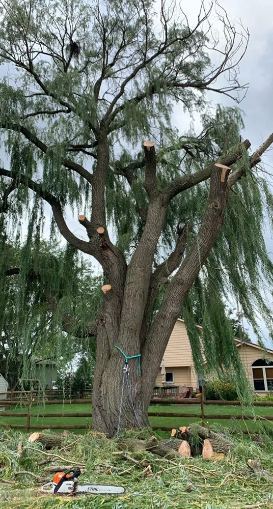 Slide of Fallen Timber Land Development LLC