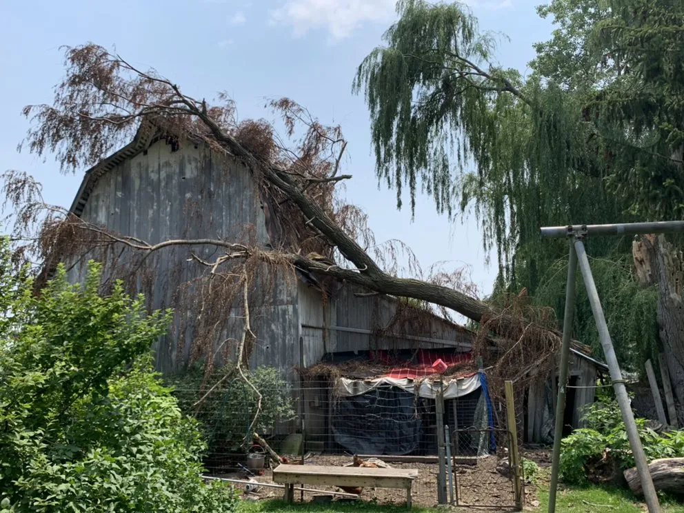 Slide of Fallen Timber Land Development LLC