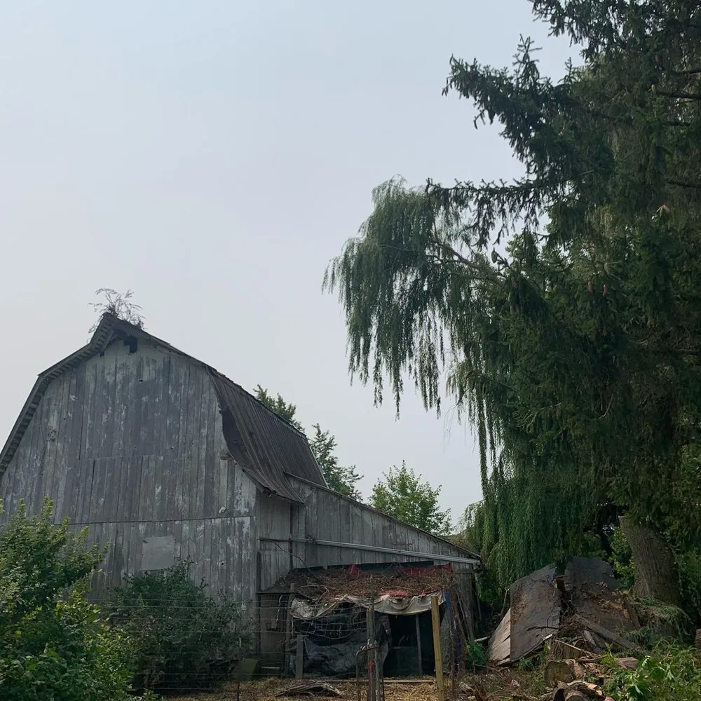 Slide of Fallen Timber Land Development LLC