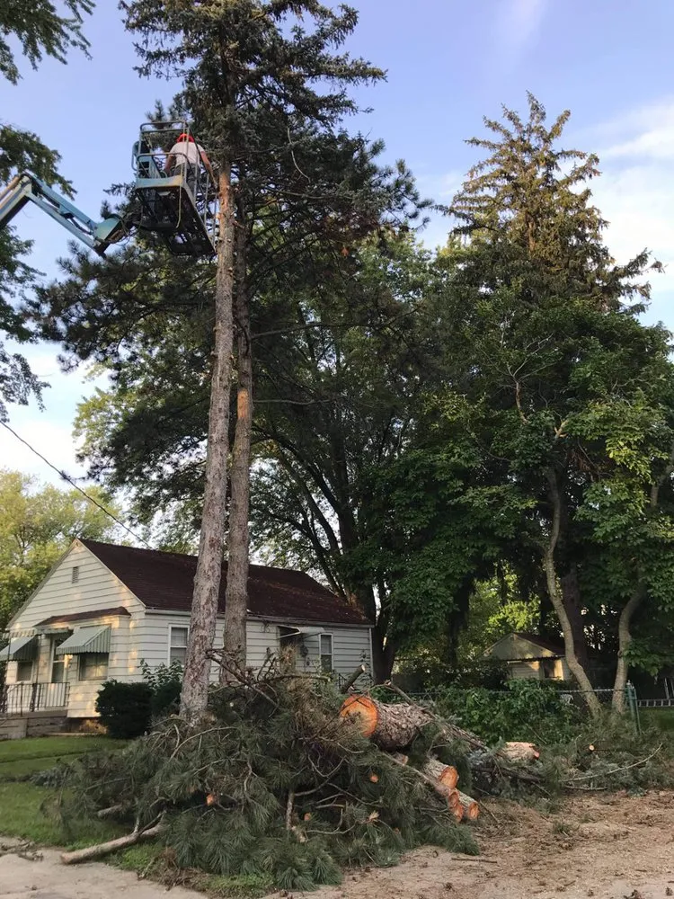 Slide of Fallen Timber Land Development LLC
