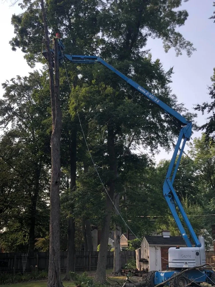 Slide of Fallen Timber Land Development LLC