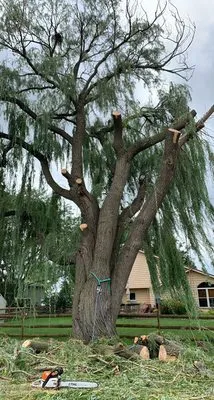 Fallen Timber Land Development LLC