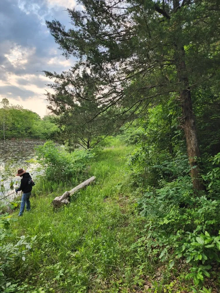 Slide of Family Matters Lawn, Land, & Exteriors