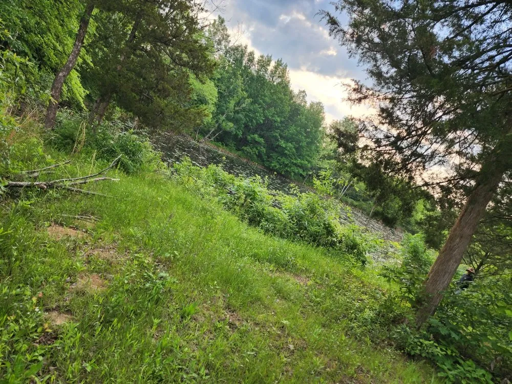 Slide of Family Matters Lawn, Land, & Exteriors