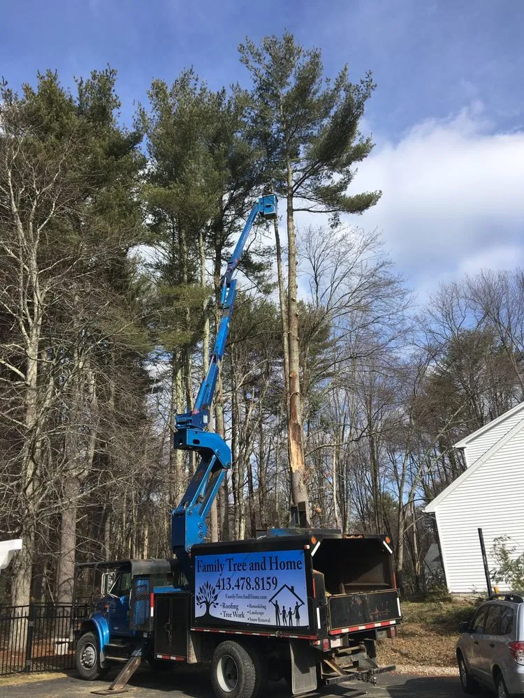 Slide of Family Tree and Home