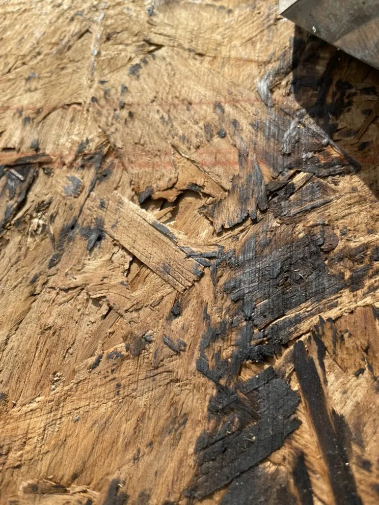 Slide of Family Tree Roofing