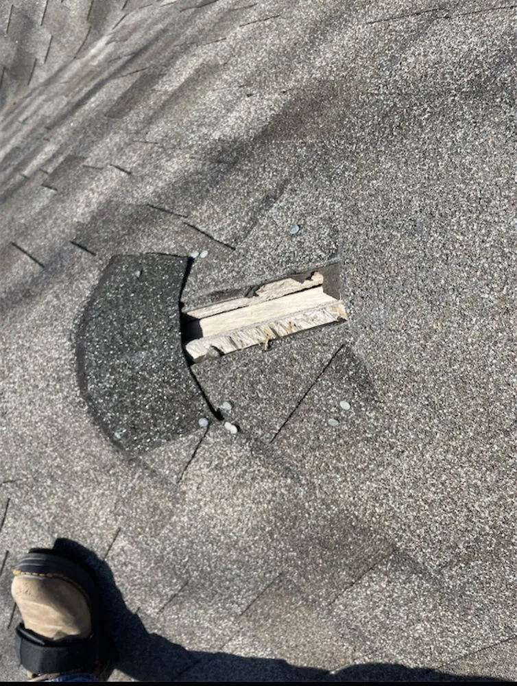 Slide of Family Tree Roofing