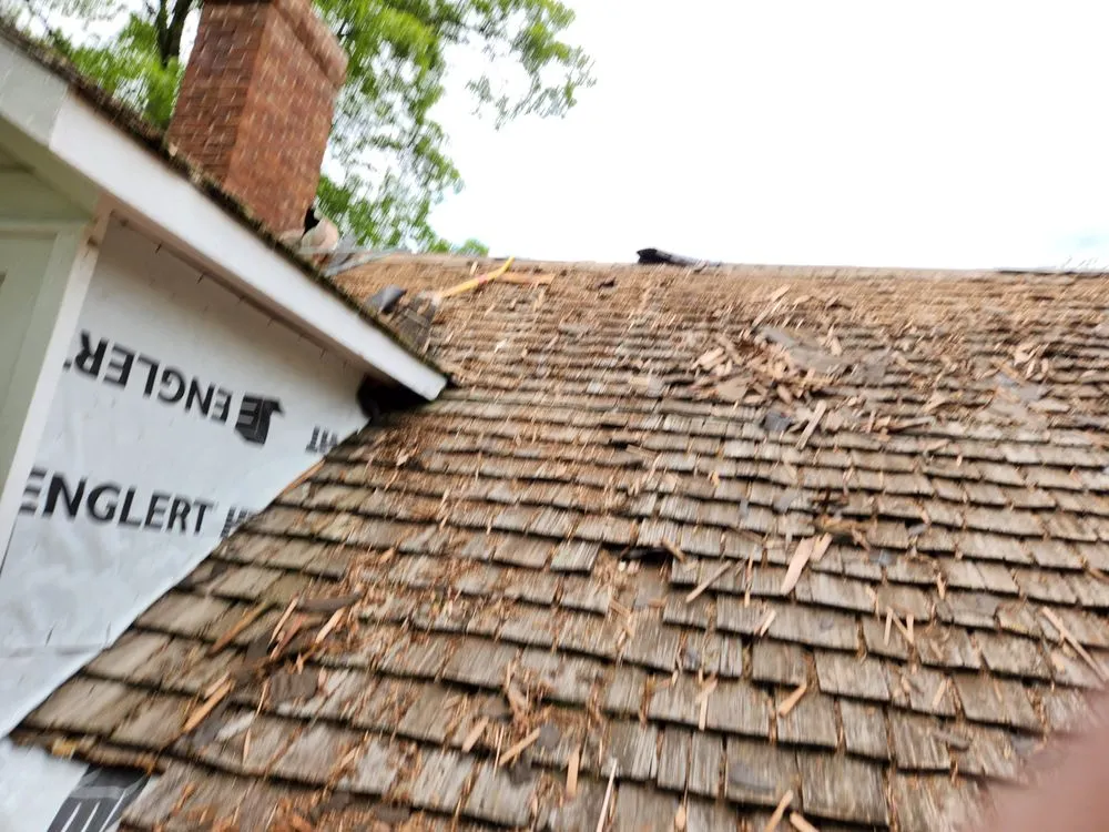 Slide of Fantanstic Roofs