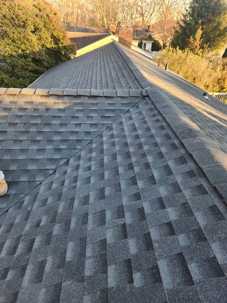 Slide of Fantanstic Roofs