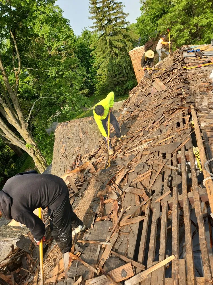 Slide of Fantanstic Roofs