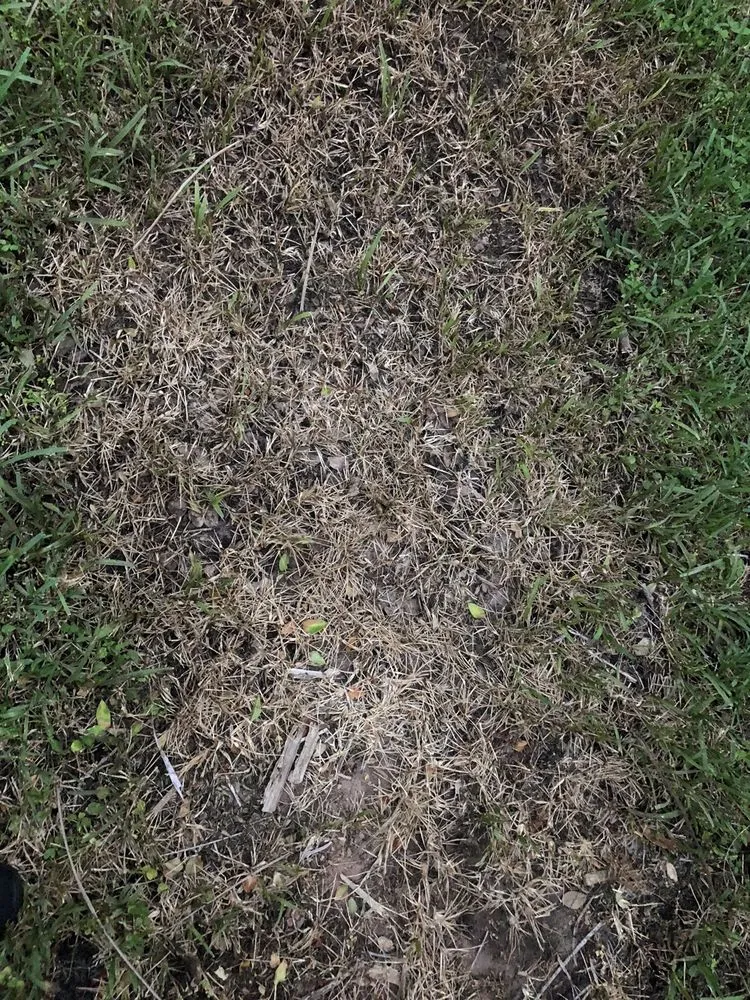 Slide of Fantastic Roof Cleaning