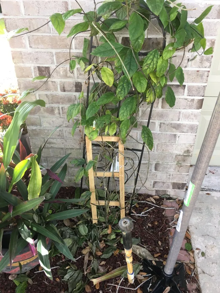 Slide of Fantastic Roof Cleaning