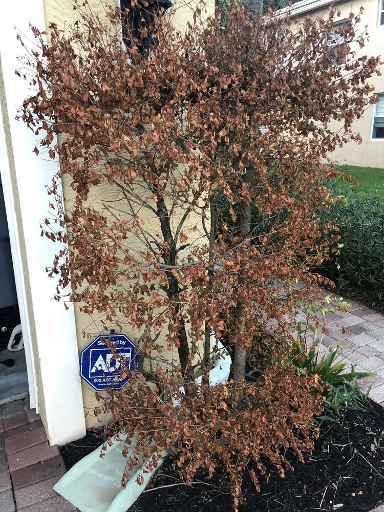 Slide of Fantastic Roof Cleaning