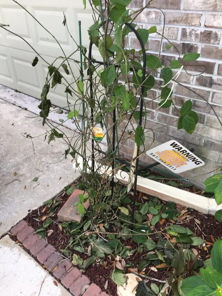 Slide of Fantastic Roof Cleaning