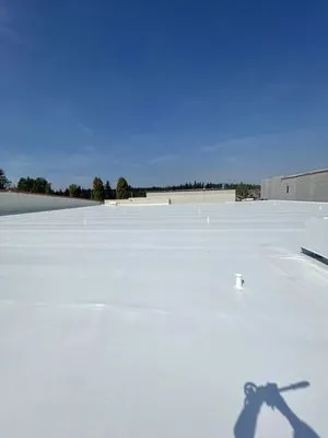 Fast Roofing