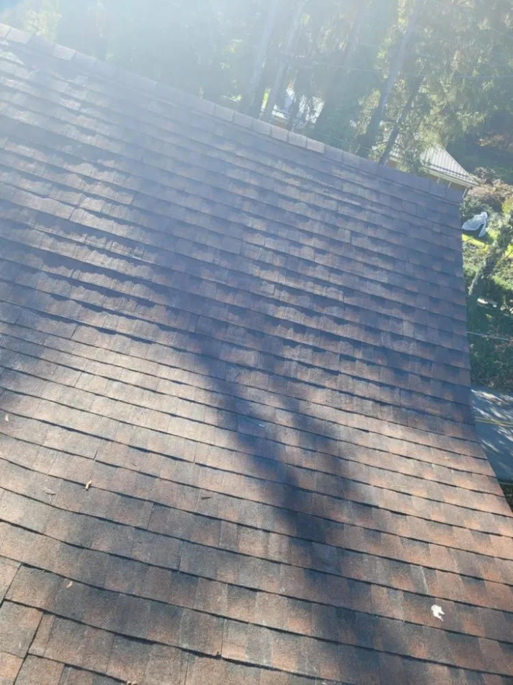 Emergency shingle roofing service for homes in Cairnbrook, PA by Fast Track Construction
