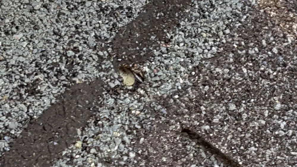 Slide of Fayetteville Roof Pros