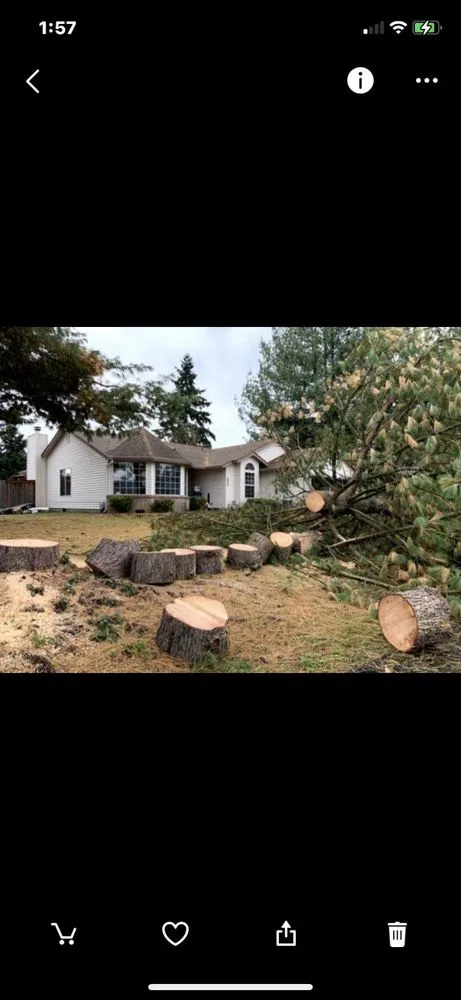 Slide of F&D Services