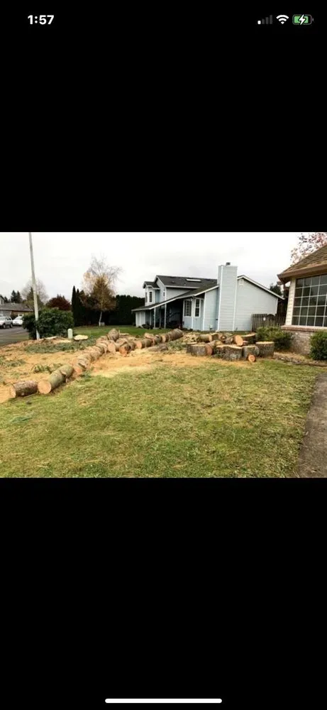 Slide of F&D Services