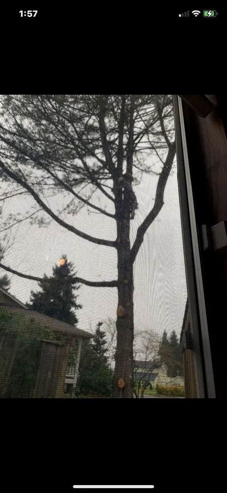 Slide of F&D Services