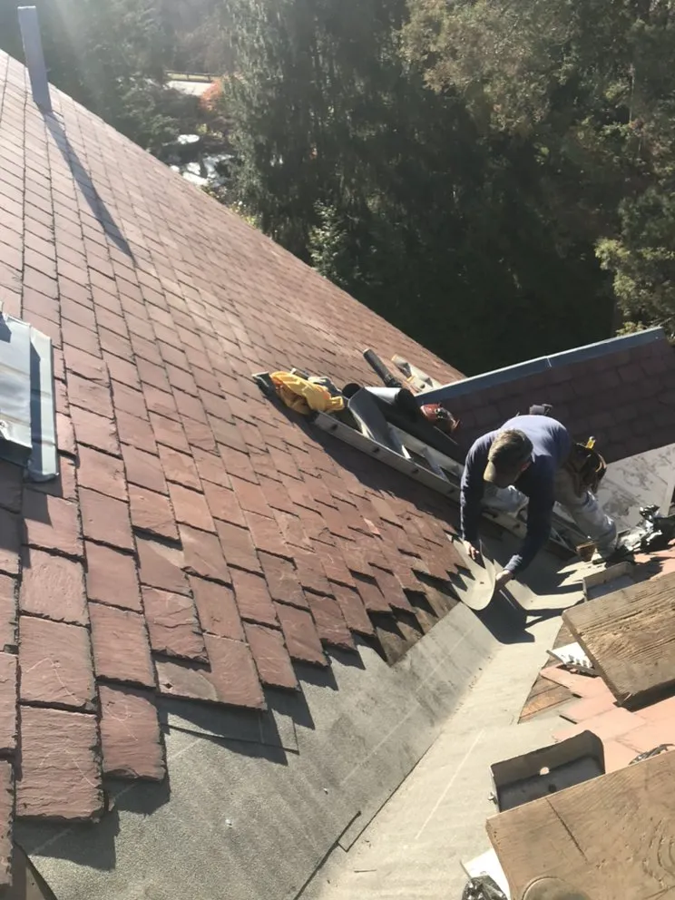 Slide of Feathers Roofing