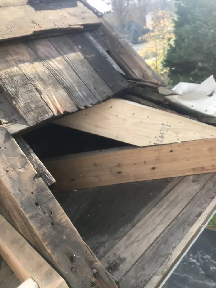 Slide of Feathers Roofing