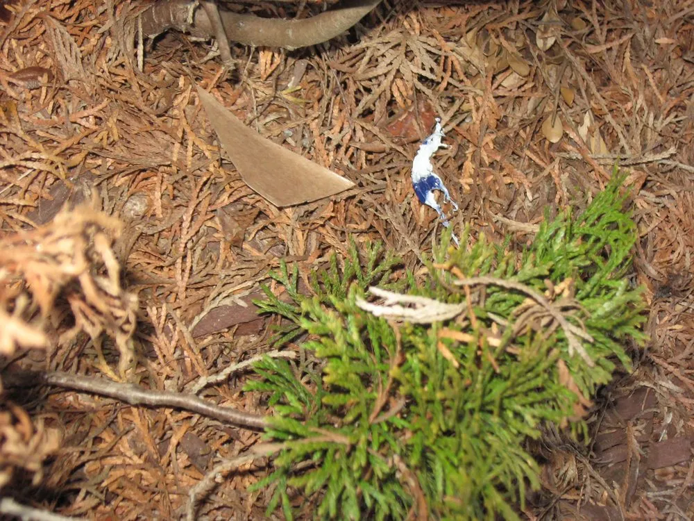 Slide of Feazel Roofing