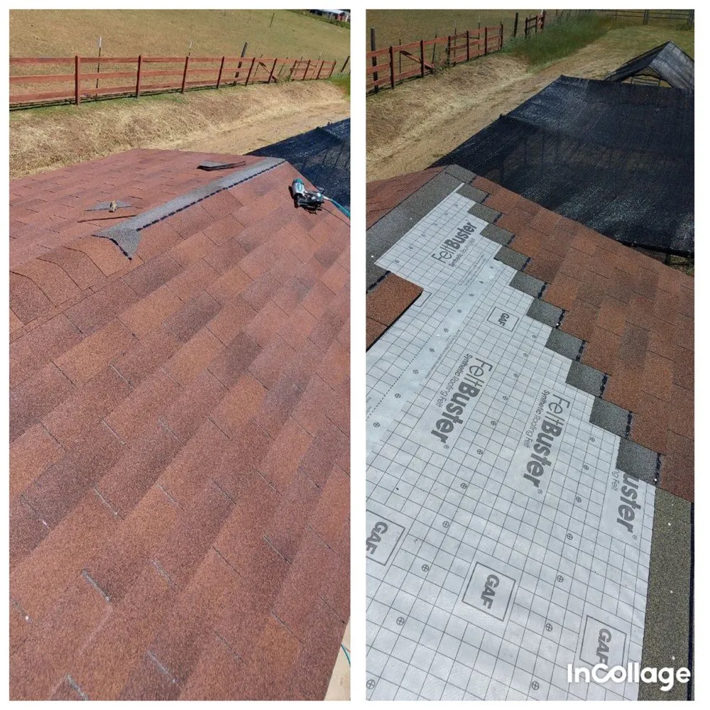 Slide of Fence Mixalev