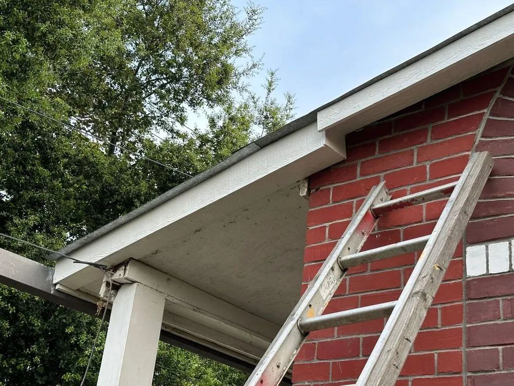 Slide of Fence Mixalev