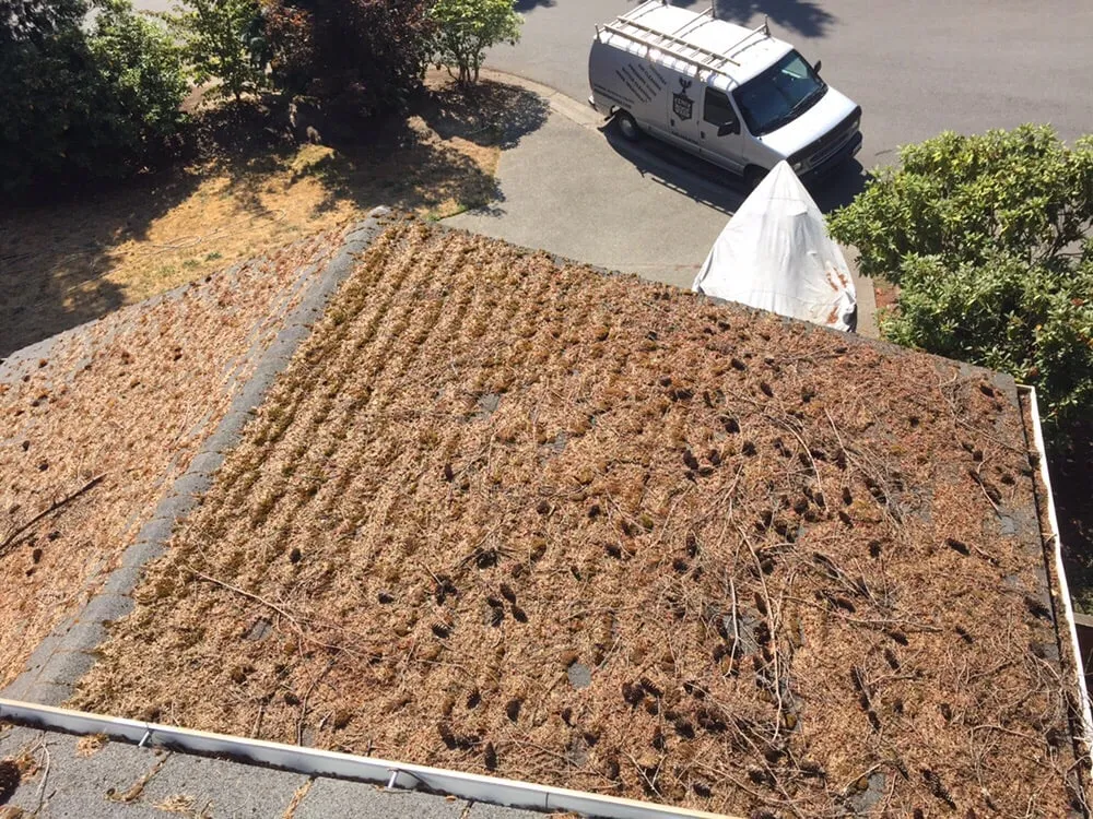 Slide of Fenix Roof Service