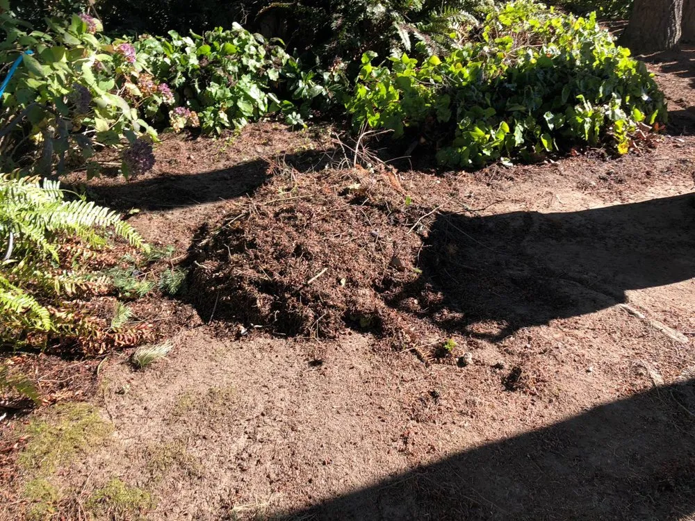 Slide of Fenix Roof Service