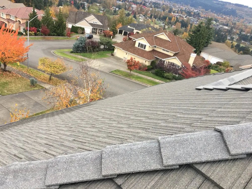 Slide of Fenix Roof Service