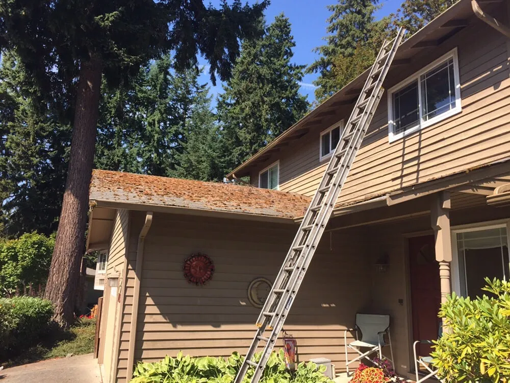 Slide of Fenix Roof Service