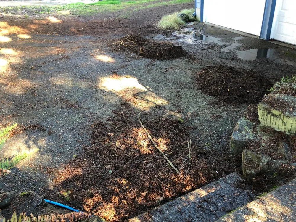 Slide of Fenix Roof Service