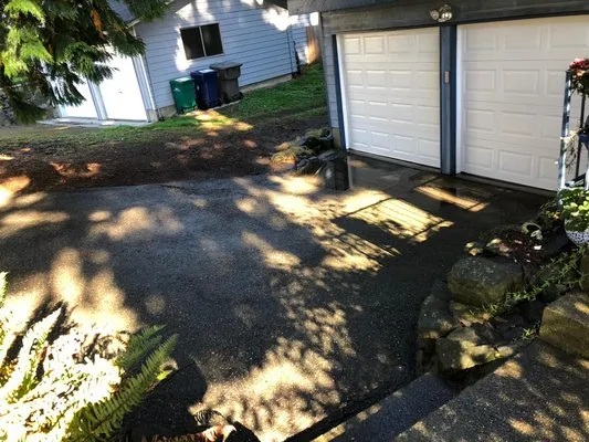 Fenix Roof Service Logo