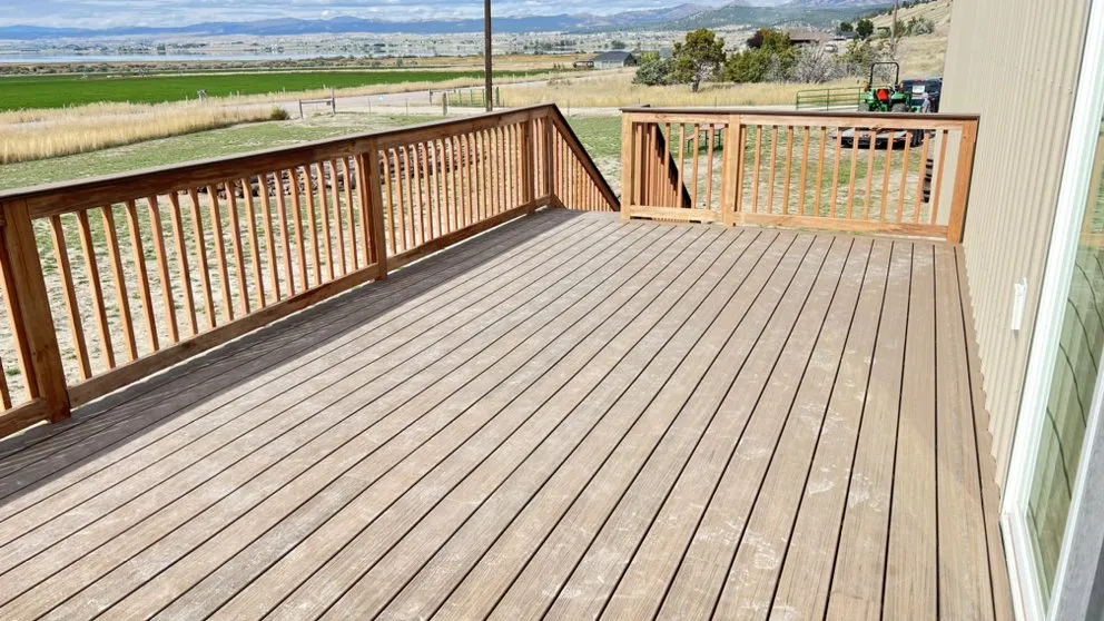 Slide of Feral 5 Construction