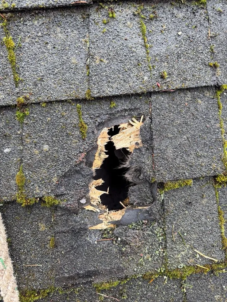 Slide of Ferdi Exteriors