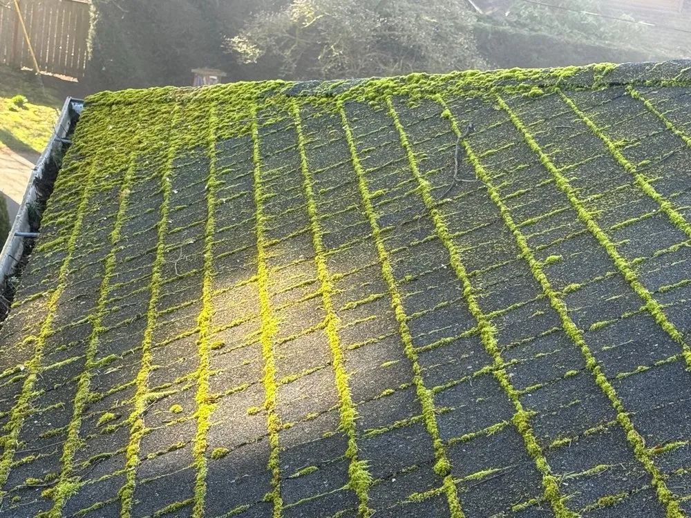 Slide of Ferdi Exteriors